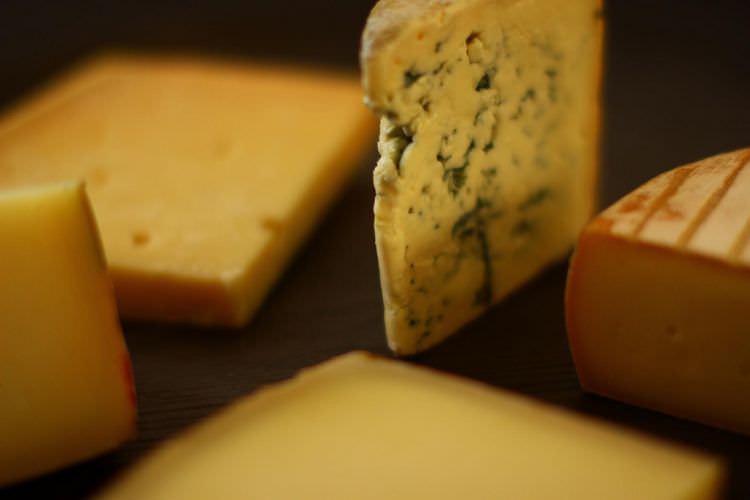 caciotta cheese